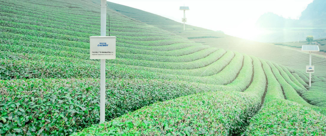 DTN-F1415S農(nóng)林管理應(yīng)用 DTN-F1415S農(nóng)林管理應(yīng)用