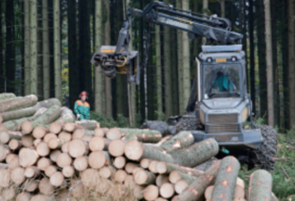 木材運(yùn)輸.png 木材運(yùn)輸.png