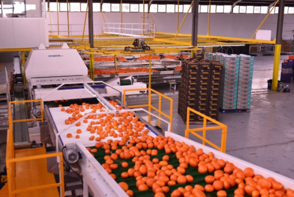 果蔬智能分揀.png 果蔬智能分揀.png