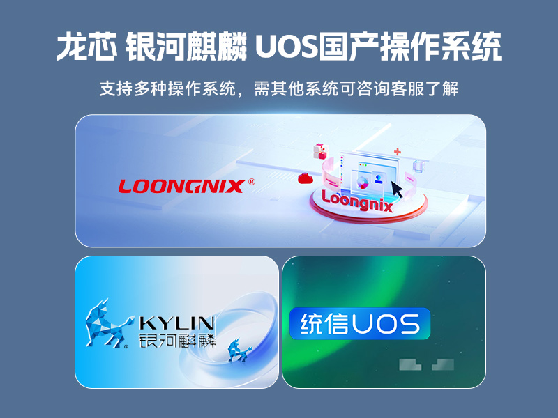 國產(chǎn)化多網(wǎng)口工控機(jī),龍芯LS3A5000安全主機(jī),DT-61013-P3A5K